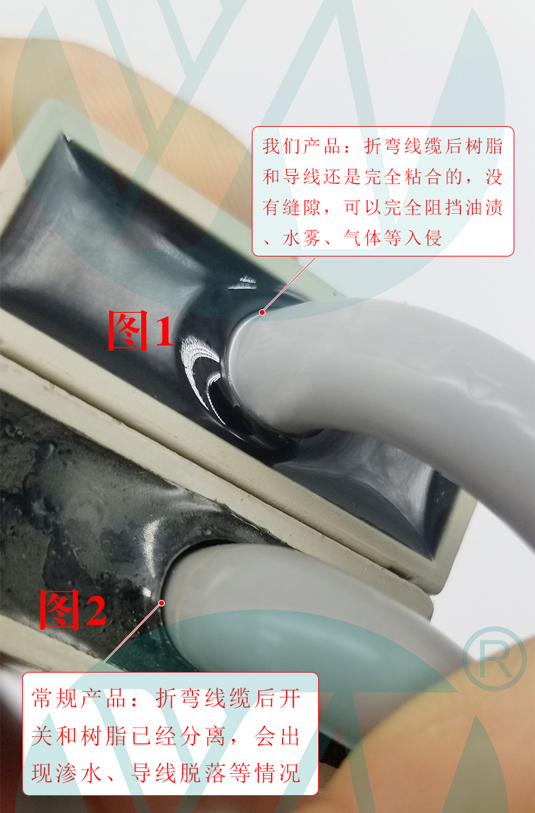 3169_14.jpg