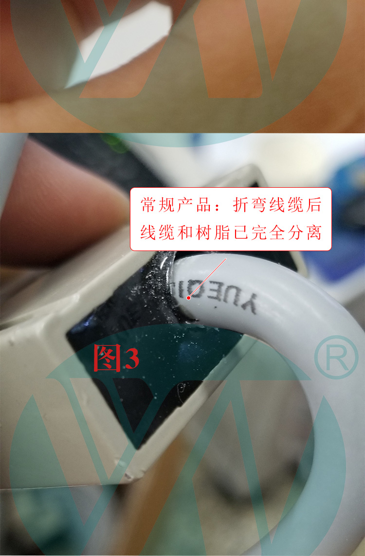 3169_15.jpg